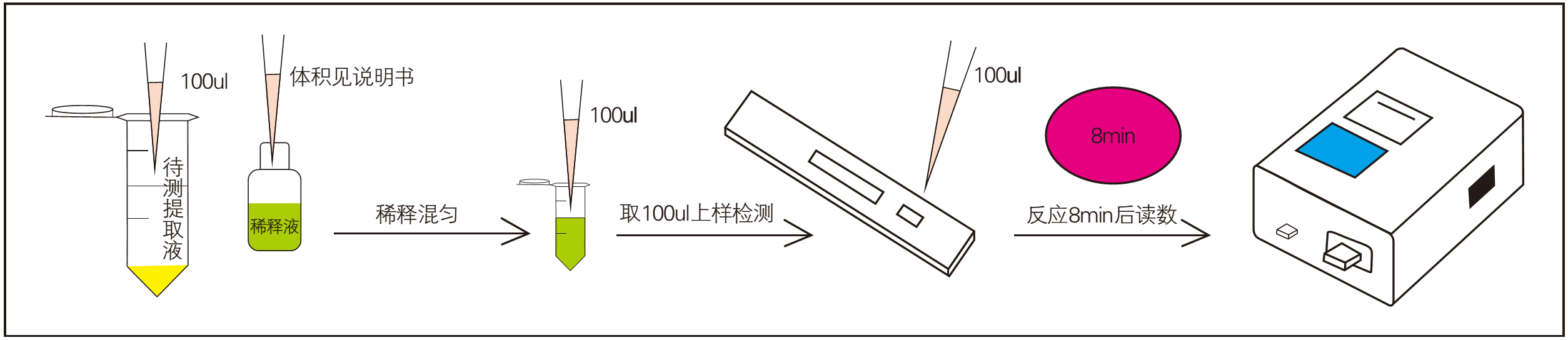 霉菌毒素快速檢測過程