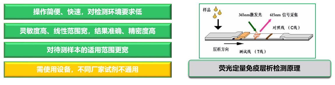 飼料赭曲霉毒素快速檢測(cè)卡