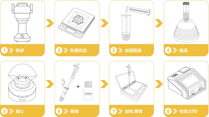 真菌毒素快速檢測(cè)流程